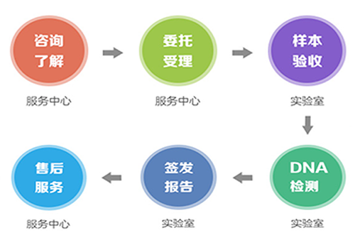 郑州亲子鉴定中心